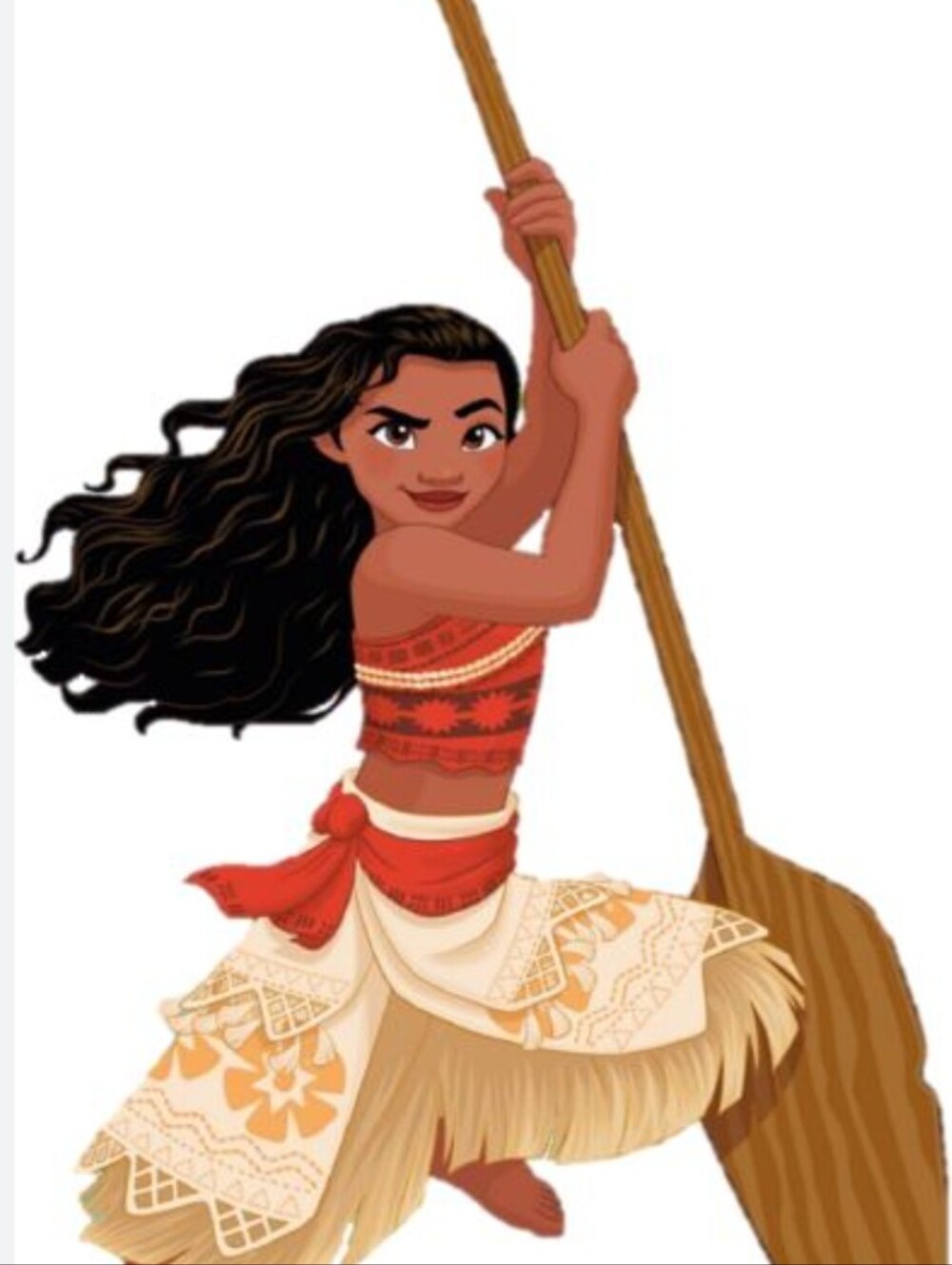 Disney Moana ultimate Fan Set